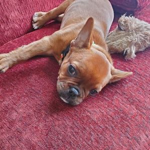 Meet your Posher, Sheena